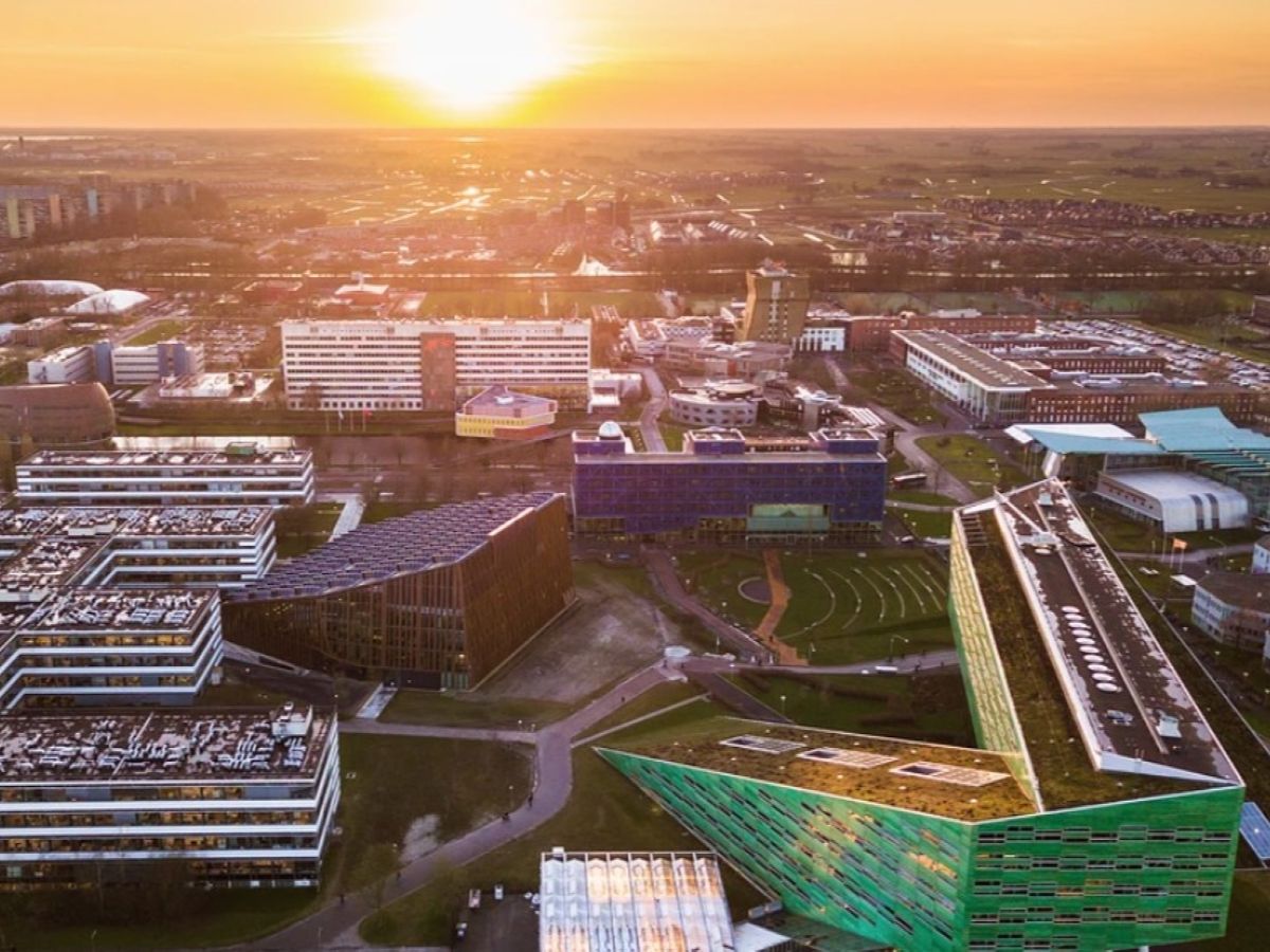 Afbeelding van GreenCareer