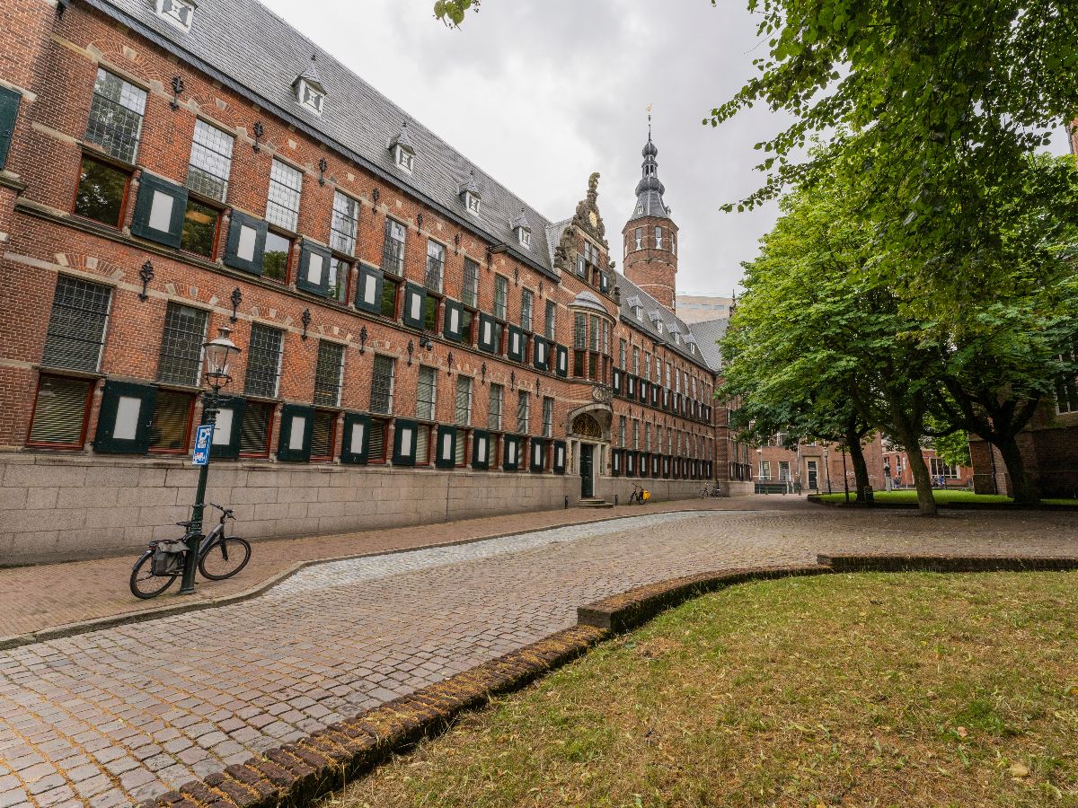 Afbeelding van GreenCareer